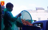 Chợ cá Yên Sở nhộn nhịp ngày ông Công ông Táo